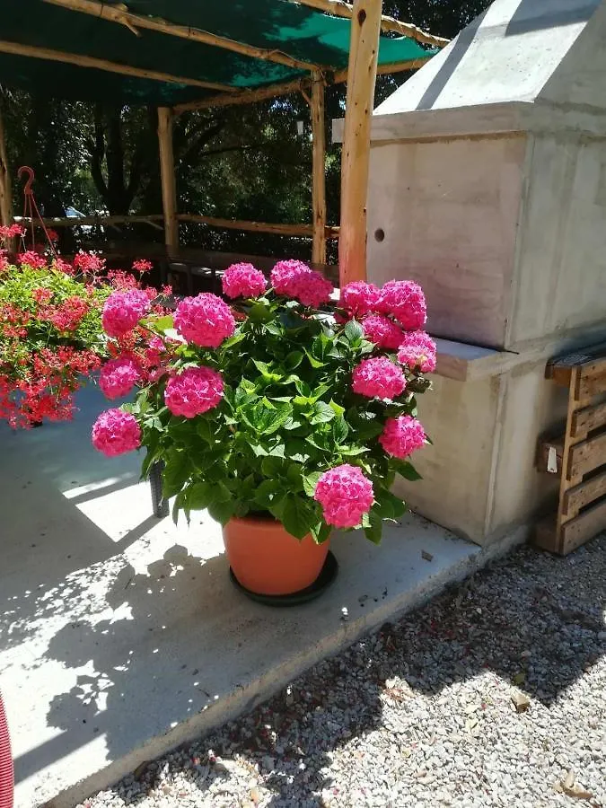 Apartamento Stela Pinezići
