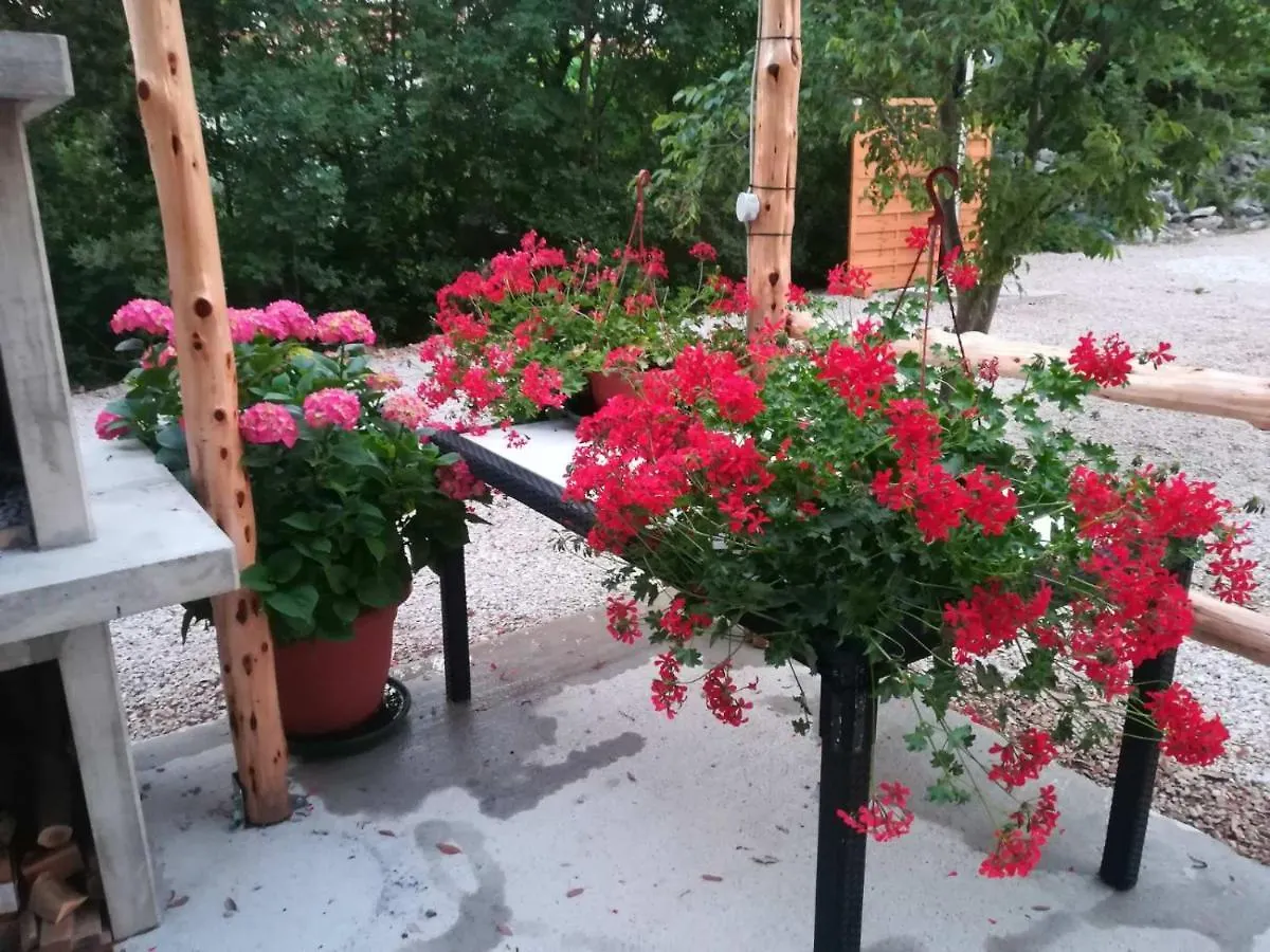 Stela Apartment Pinezici  0*, Pinezici (Krk) Croatia